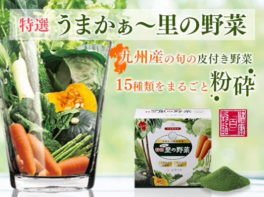 ECサイト内バナー
